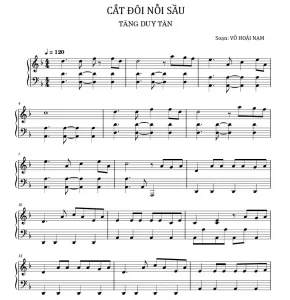 cat doi noi sau