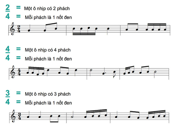 Các kiểu nhịp phách phổ biến