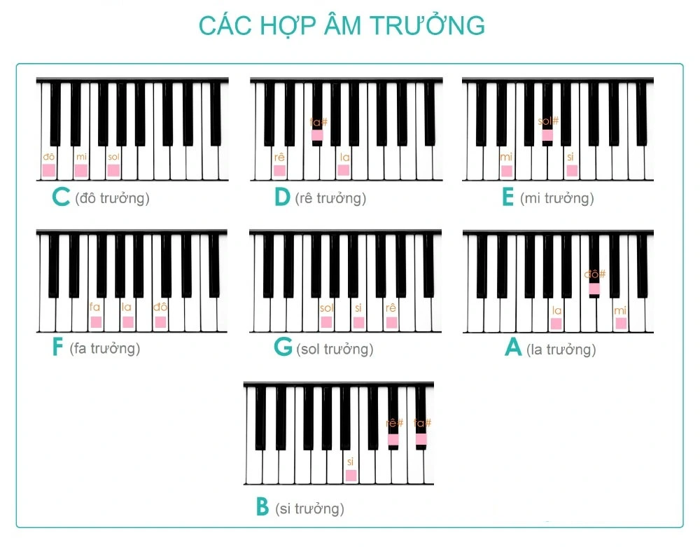 Ghi nhớ kỹ hợp âm khi học Piano