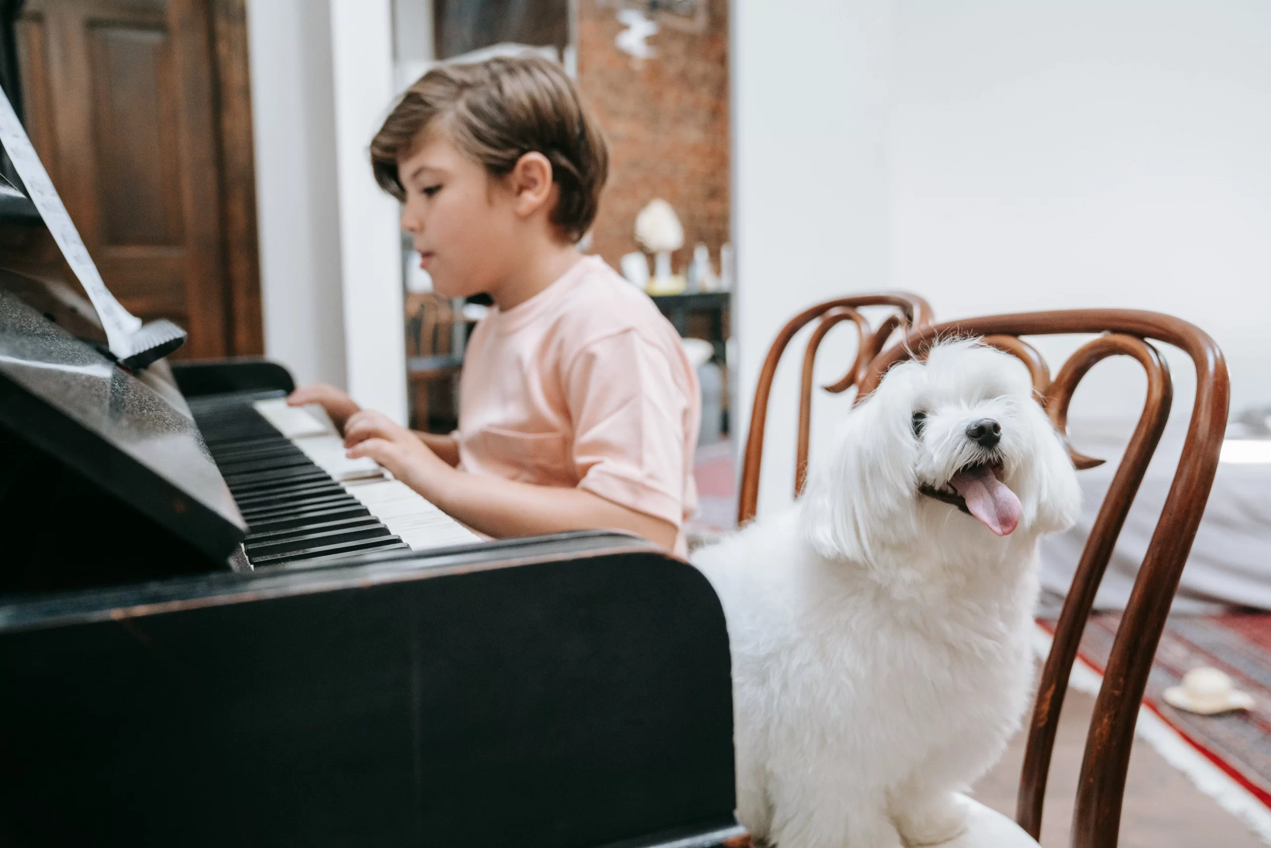 Một số mẫu đàn Piano trẻ em phù hợp với bé tập đánh